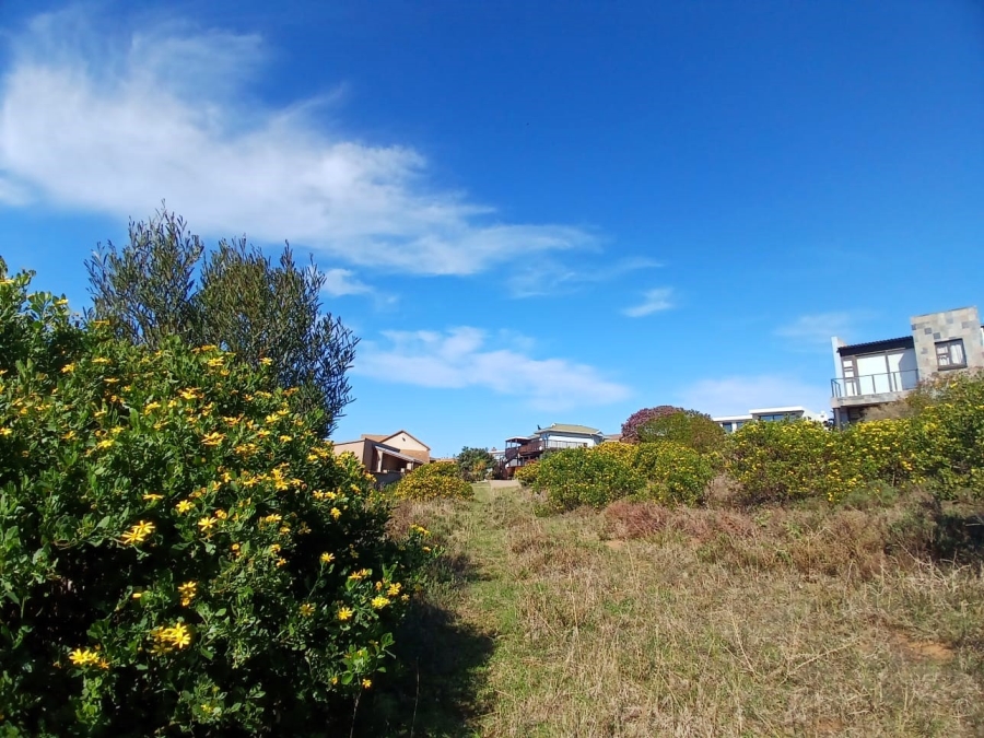 Commercial Property for Sale in Vleesbaai Western Cape